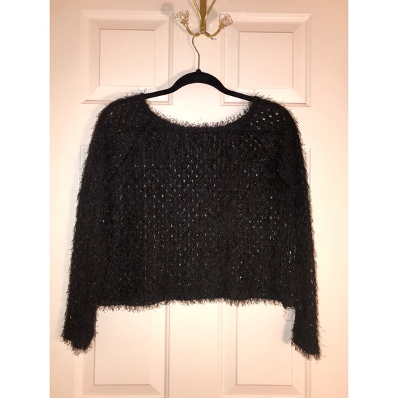 diosa Tops - Diosa black fuzzy see through shirt